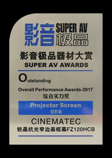 2017综合实力奖