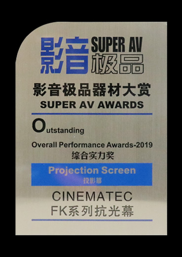 2019综合实力奖